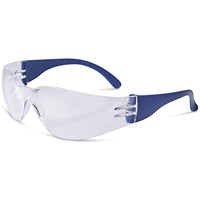 Beeswift Everson Safety Spectacle Clear