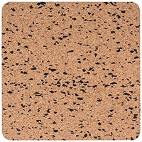 Bi-Office Eco Frameless Square Board Double-Sided Cork/Black Eva 30x30cm