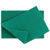 Robert Scott Caterers Scourers Green (Pack of 10) 102446