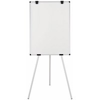 Bi-Office Earth Kyoto Tripod Magnetic Easel, 700x1000mm, Silver