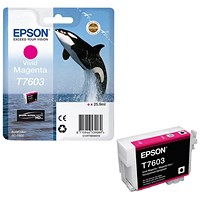 Epson T7603 Ink Cartridge Ultra Chrome HD Killer Whale Vivid Magenta C13T76034010