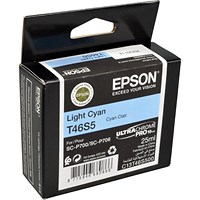 Epson T46S5 Ink Cartridge UltraChrome Pro 10 Light Cyan 25ml C13T46S500