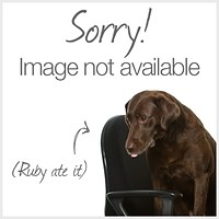 Jemini Polypropylene Stacking Chair, Grey