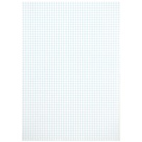Hamelin Loose Leaf Paper 5mm Squared 1000 Page Unpunched A4 (Pack of 5)