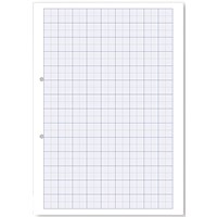Hamelin Loose Leaf Graph Paper 20mm 1000 Page Punched 2 Hole A4 (Pack of 5)