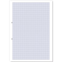 Hamelin Loose Leaf Graph Paper 10mm 1000 Page Punched 2 Hole A4 (Pack of 5)