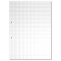 Hamelin Loose Leaf Paper 5mm Squared 1000 Page Punched 2 Hole A4 (Pack of 5)