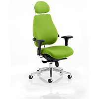 Chiro Plus Ultimate Posture Chair, Headrest, Height Adjustable Arms, Myrrh Green