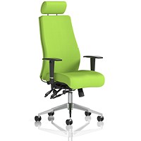 Onyx Posture Chair, Headrest, Height Adjustable Arms, Myrrh Green