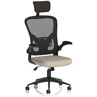 Ace Executive Mesh Back Chair With Headrest, Folding Arms, Quest Salt