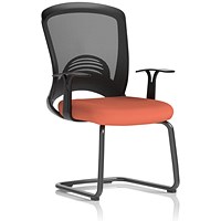 Astro Visitor Cantilever Leg Mesh Chair, Quest Crab