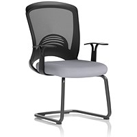Astro Visitor Cantilever Leg Mesh Chair, Quest Shell