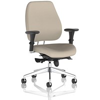 Chiro Plus High Back Chair, Height Adjustable Arms, Quest Salt