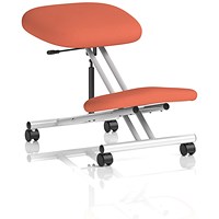 Kneeling Stool, Silver Frame, Quest Crab