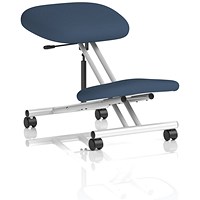 Kneeling Stool, Silver Frame, Quest Whelk