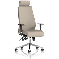 Onyx Ergo Posture Chair With Headrest, Height Adjustable Arms, Quest Salt