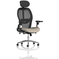 Sanderson II Mesh Back Chair With Headrest, Height Adjustable Arms, Quest Salt