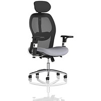 Sanderson II Mesh Back Chair With Headrest, Height Adjustable Arms, Quest Shell
