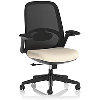 Crew 2 Task Operator Mesh Back Chair, Folding Arms, Quest Salt