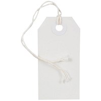 Strung Ticket 48x30mm White (1000 Pack) KF01620