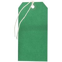 Strung Tag 120x60mm Green (1000 Pack) KF01624