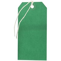 Strung Tag 120x60mm Green (Pack of 1000) KF01624