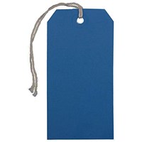 Strung Tag 120x60mm Blue (1000 Pack) KF01625