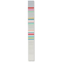 Nobo T-Card Planning Panel Size 3 95mm with 32 Slots 1900394 Nobo T-Card Planning Panel Size 3 95mm with 32 Slots 1900394