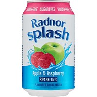 Radnor Splash Sparkling Sugar Free Apple & Raspberry Flavoured Sparkling Water, Cans, 330ml, Pack of 12