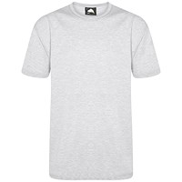 ORN Plover Unisex T-Shirt, Ash Grey, 3XL