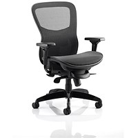 Stealth Shadow Ergo Mesh Back Posture Chair, Height Adjustable Arms, Black - Delivered Built