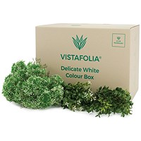 Vistafolia Delicate White Colour Box (Pack of 42) CBX-WHT