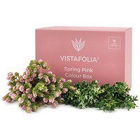 Vistafolia Spring Pink Colour Box (Pack of 30) CBX-SPK