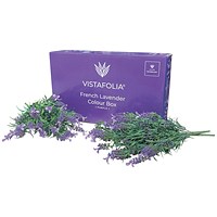 Vistafolia French Lavender Purple Colour (Pack of 10) CBX-LAV-PPL