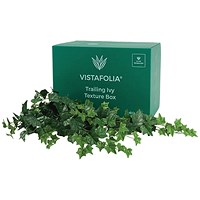 Vistafolia Trailing Ivy Texture Box (Pack of 9) TBX-TIV