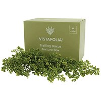 Vistafolia Trailing Buxus Texture Box (Pack of 9) TBX-TBX