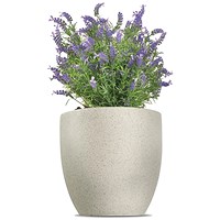 Vistafolia French Lavender Bush Purple FLB-PPL