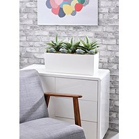 Agave and Succulent Matte White Trough LLRAGS350/RDYWH