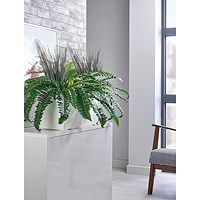 Boston Fern and Savannah Grass Matte Lava Trough LLRBFS550/RDYLV