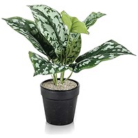 Tabletop Scindapsus Matte Lava Planter LLRSCD290/RDYLV