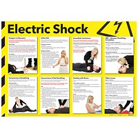 Health and Safety Electric Shock Poster, A2
