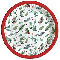 Traditional Christmas Party Paper Plates x6 Pack of 12
