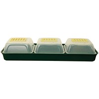 Whitefurze Windowsill Propagator Set, Green/Clear