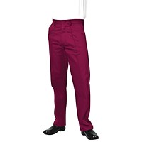 Work in Style MT037 Male Healthcare Trousers, Maroon, Size 32 Inch