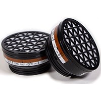 Beeswift A2P3 Filter (Pair)