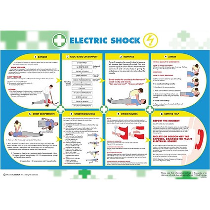 Wallace Cameron Electric Shock Poster Laminated Wall-mountable W590xH420mm