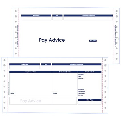 Pegasus Compatible Secure Pay Advice / 3 Part / W241xH127mm / Box of 1000