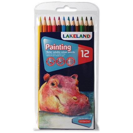 Free on Orders over £90 - Lakeland Painting Pencils / Pack of 12