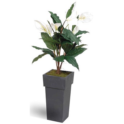 Stewart Superior Artificial Plant in Tall Metal Pot H1200mm Peace Lily