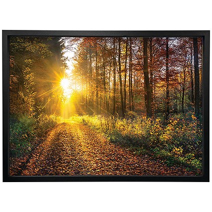 Woodland Walk In The Autumn Framed Print, A2 406x609mm